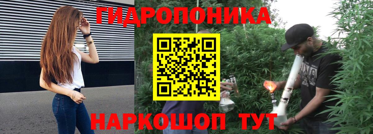 Бошки Шишки THC 21% Качканар